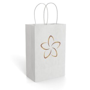 Paper Gift Bag